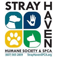 Stray Haven